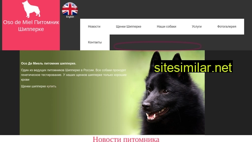 shipperke.ru alternative sites