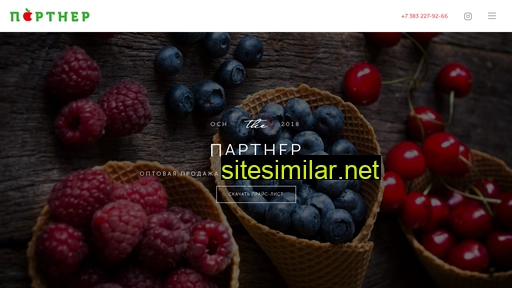 sibpartners.ru alternative sites