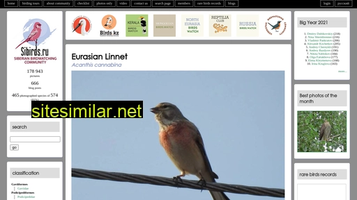sibirds.ru alternative sites
