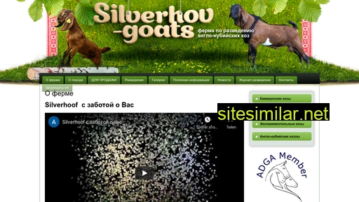 silverhov-goats.ru alternative sites