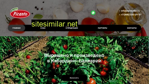 sirius-kbr.ru alternative sites