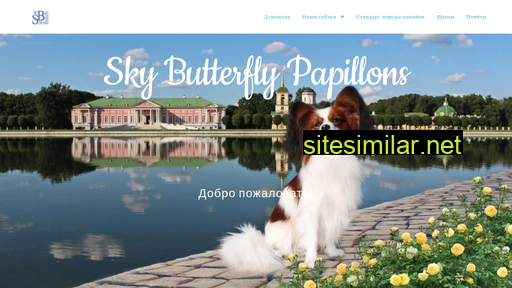 Skybutterfly similar sites