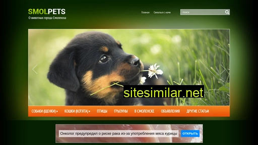 smolpets.ru alternative sites