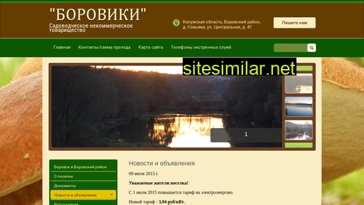 sntboroviki.ru alternative sites