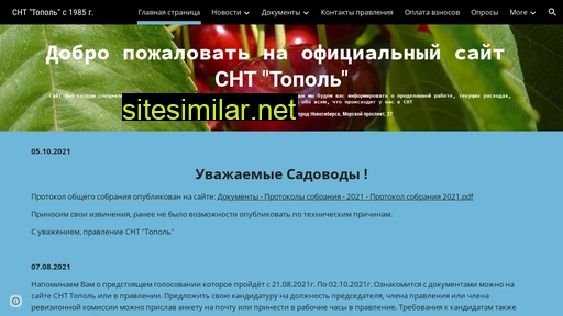 snttopol.ru alternative sites