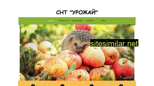 snturozhai.ru alternative sites