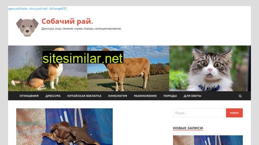 sobaka-provodnik.ru alternative sites