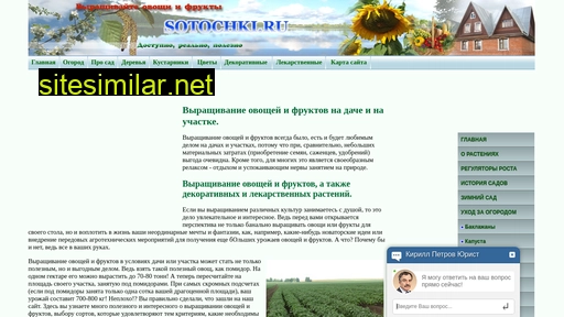 sotochki.ru alternative sites