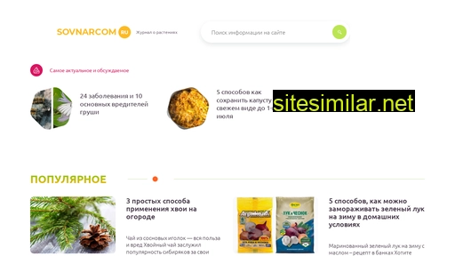 sovnarcom.ru alternative sites