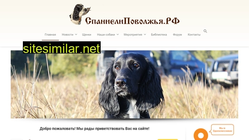 spaniel-volga.ru alternative sites