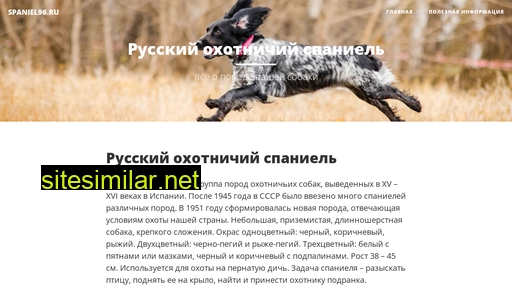 spaniel96.ru alternative sites