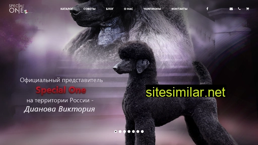 specialonerussia.ru alternative sites