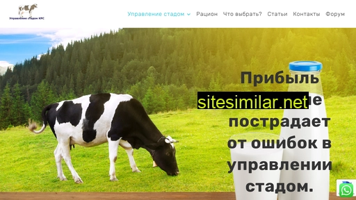 stadokrs.ru alternative sites