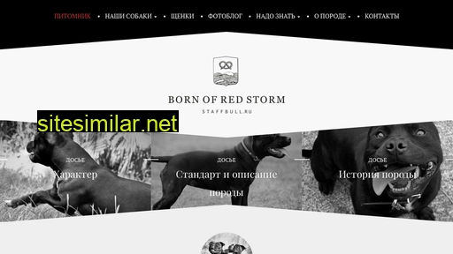 staffbull.ru alternative sites