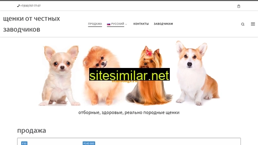 starsdogs.ru alternative sites