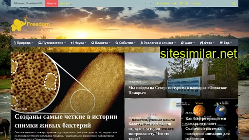 subsw.ru alternative sites