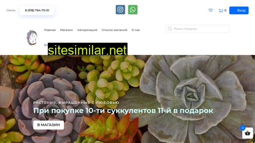 succo.ru alternative sites