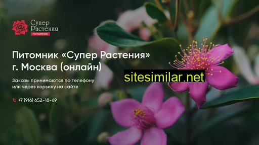 super-rasteniya.ru alternative sites