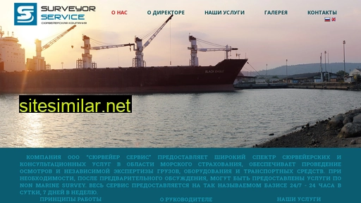 surveyor-service.ru alternative sites