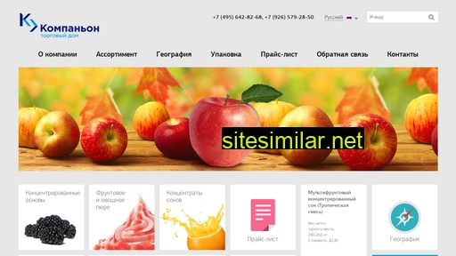 tdcompanion.ru alternative sites
