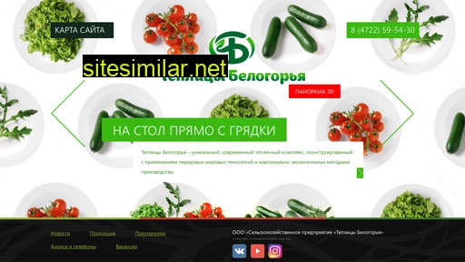 tepbel.ru alternative sites