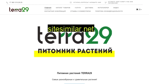 terra29.ru alternative sites