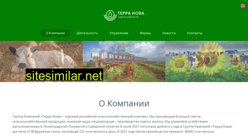 terranovagroup.ru alternative sites