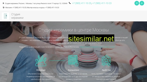 terracatstudio.ru alternative sites