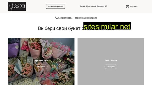 testachelny.ru alternative sites