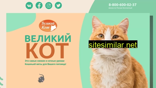 thegreatcat.ru alternative sites