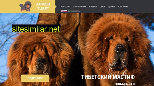 tibetandog.ru alternative sites