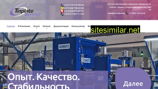 tinservice.ru alternative sites