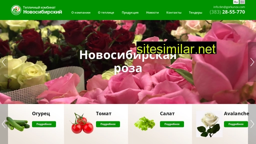 tknso.ru alternative sites
