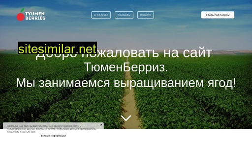 tmnbs.ru alternative sites