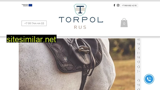 torpolstore.ru alternative sites