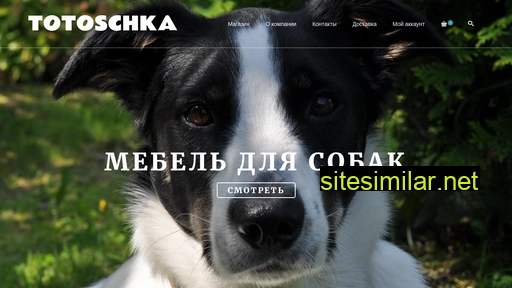 totoschkashop.ru alternative sites