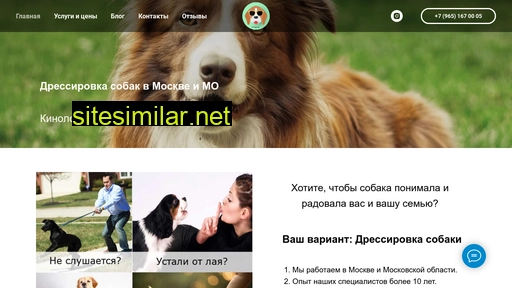 t-dogs.ru alternative sites
