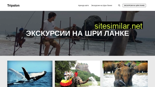tripalon.ru alternative sites