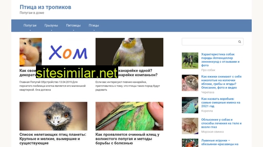 tropicbirds.ru alternative sites
