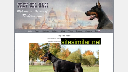 troy-del-nasi.ru alternative sites