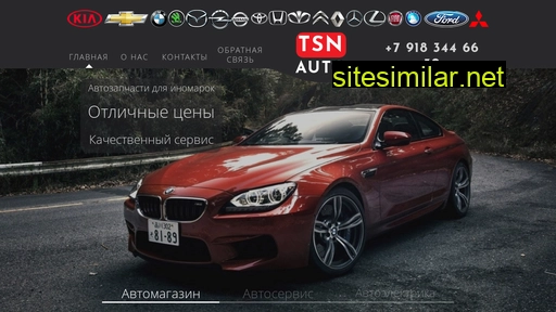 tsnauto.ru alternative sites