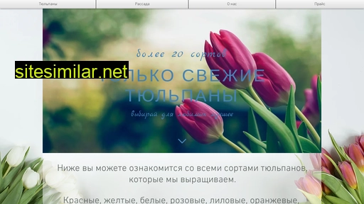 tulpan-tyumen.ru alternative sites