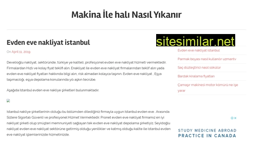 turkishsystem.ru alternative sites