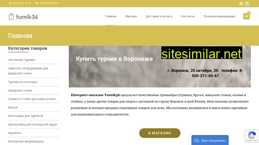 turnik36.ru alternative sites