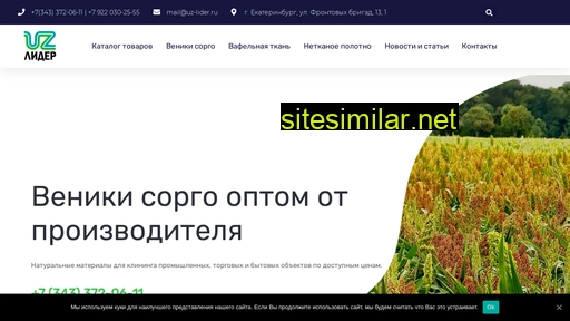 uz-lider.ru alternative sites