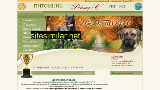 vectorcorso.ru alternative sites