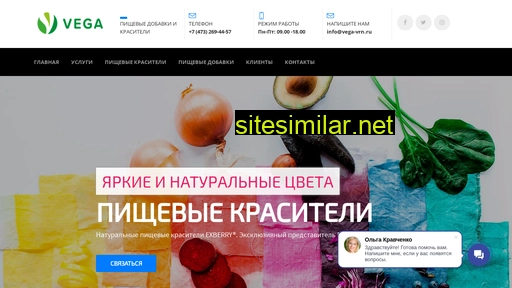 vega-vrn.ru alternative sites