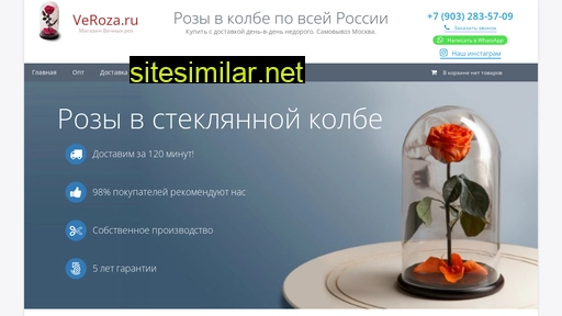 veroza.ru alternative sites