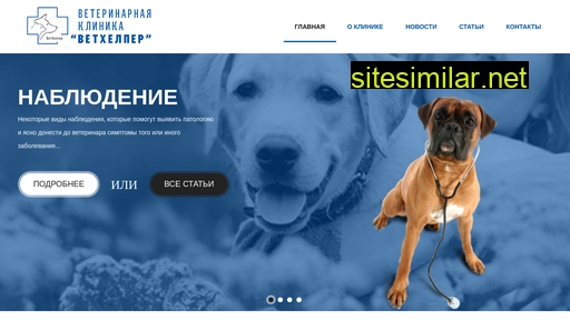 vethelper24.ru alternative sites