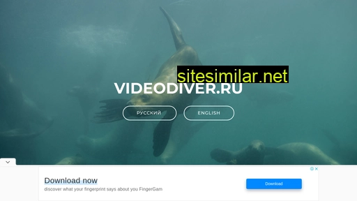 videodiver.ru alternative sites